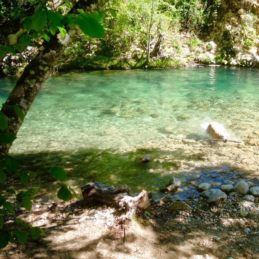 Roulotte De Florette Tourrettes-sur-Loup Dış mekan fotoğraf
